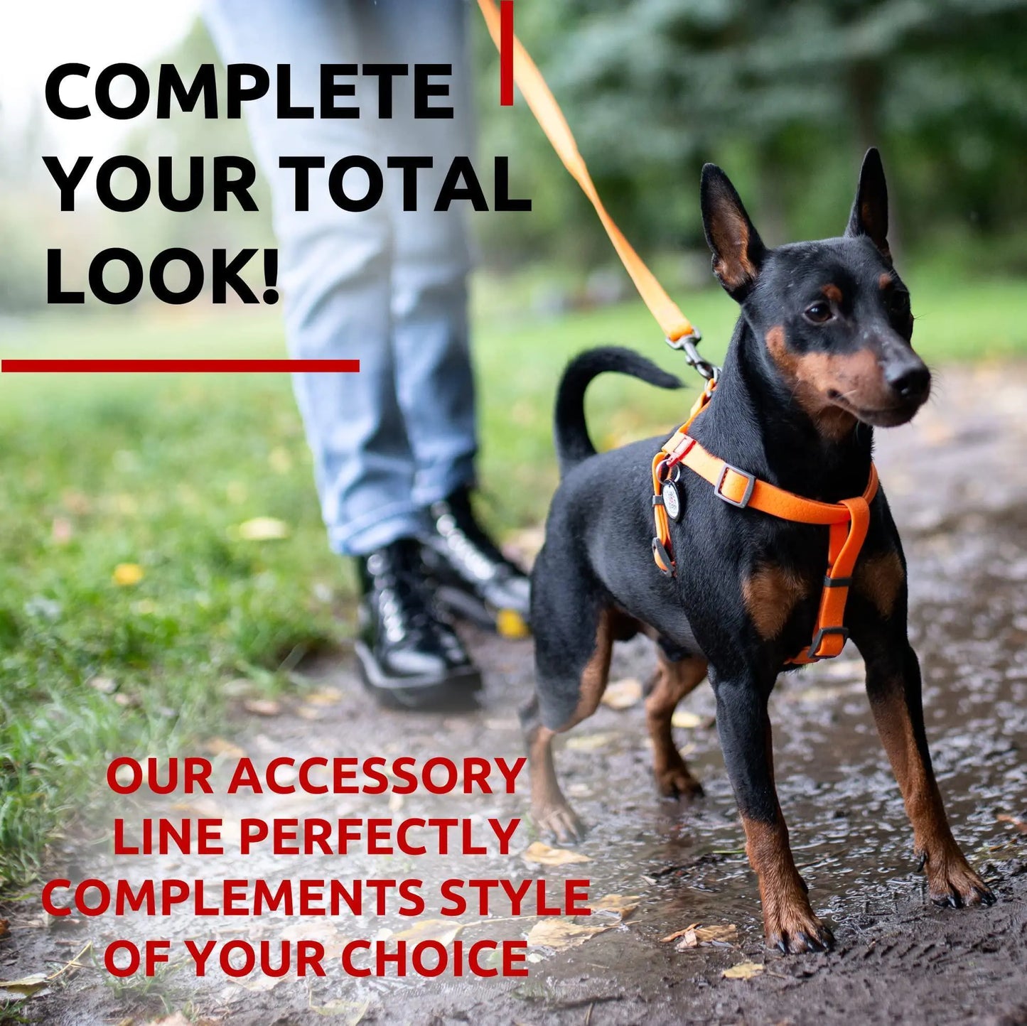 Waterproof Dog Leash 6 Ft x 3/5 in Anti Slip Dirt Resistant Heavy Duty