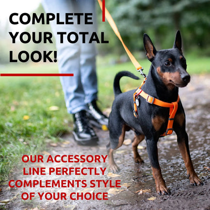 Waterproof Dog Leash 6 Ft x 3/5 in Anti Slip Dirt Resistant Heavy Duty