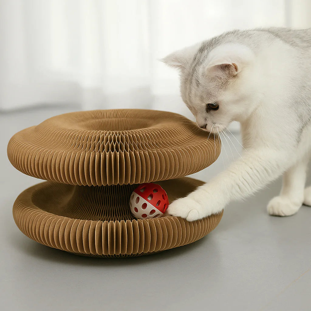 Cat Scratching Board