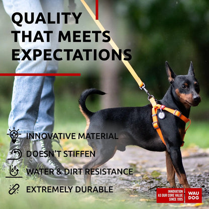 Waterproof Dog Leash 6 Ft x 3/5 in Anti Slip Dirt Resistant Heavy Duty